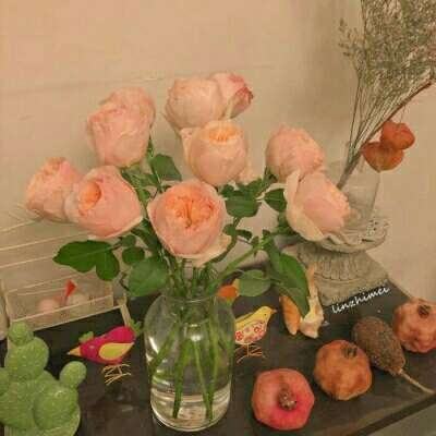 澳门王中王100%的资料手机app下载