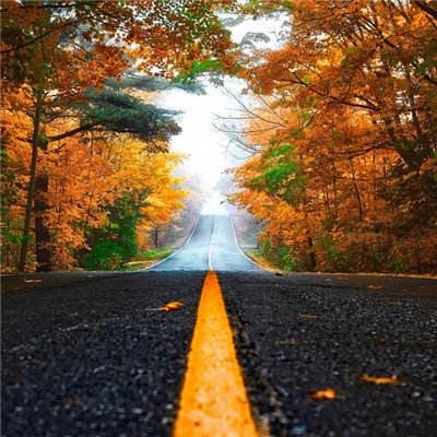 pg电子下载网址