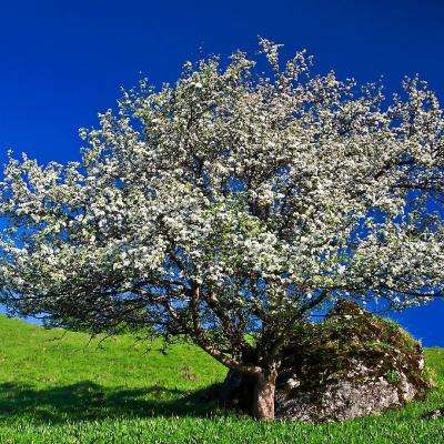 宝博游戏下载手机版