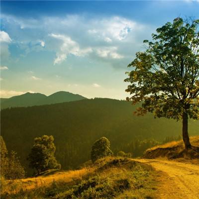 火狐电竞手机app下载截图